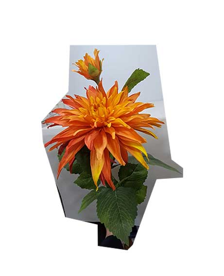 fiore-arancione