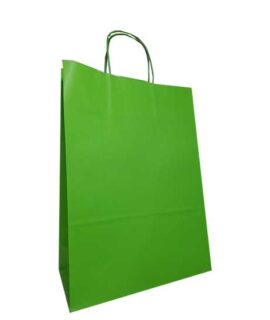 Busta regalo VERDE MELA 37x27x12 cm