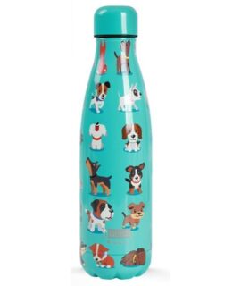 Borraccia in acciaio CAGNOLINI 500 ml I-Drink