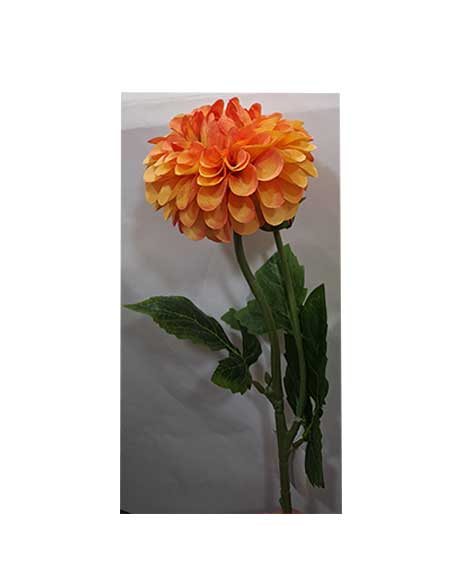 arancione