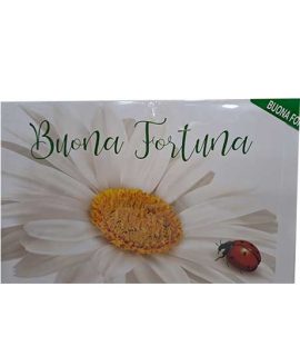Biglietto Buona Fortuna con margherita