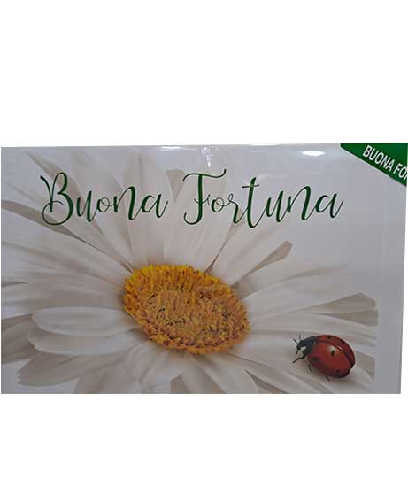 buona-fortuna