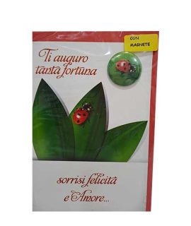 Biglietto fortuna con magnete COCCINELLA