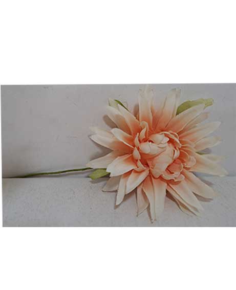 dalia-pesca