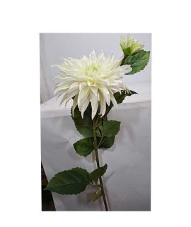 Dalia artificiale BIANCA