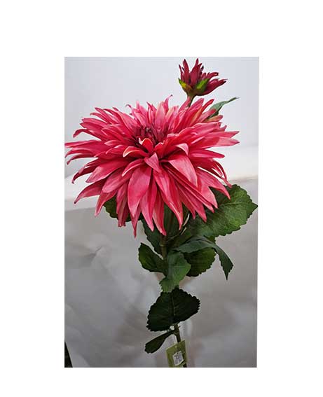 fiore-fucsia-con-bocciolo