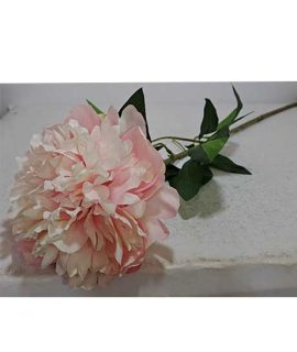 Dalia artificiale ROSA
