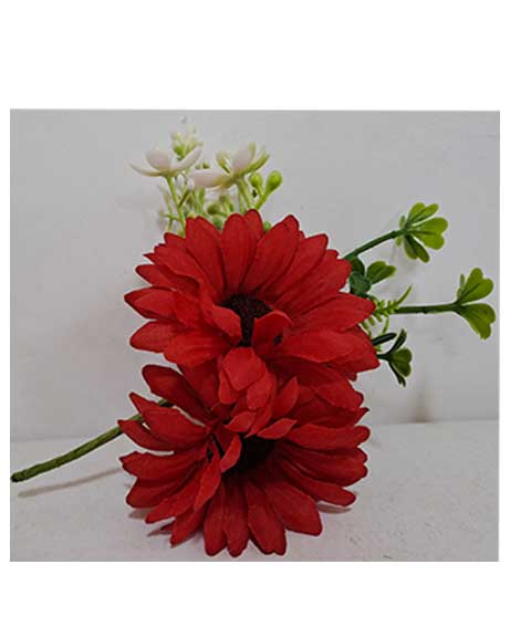 gerbere-rosse