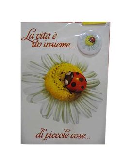 Biglietto compleanno con magnete COCCINELLA