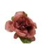 rosa-bordeaux