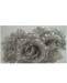rose-argento