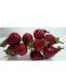 pere-rosse