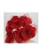 fiore-rosso