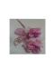 pick-fucsia