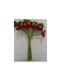 mazzetto-rosso