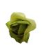 rosa-verde