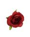 rosa-rossa