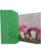 tulipani-2