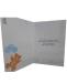 orsetto-celeste-2